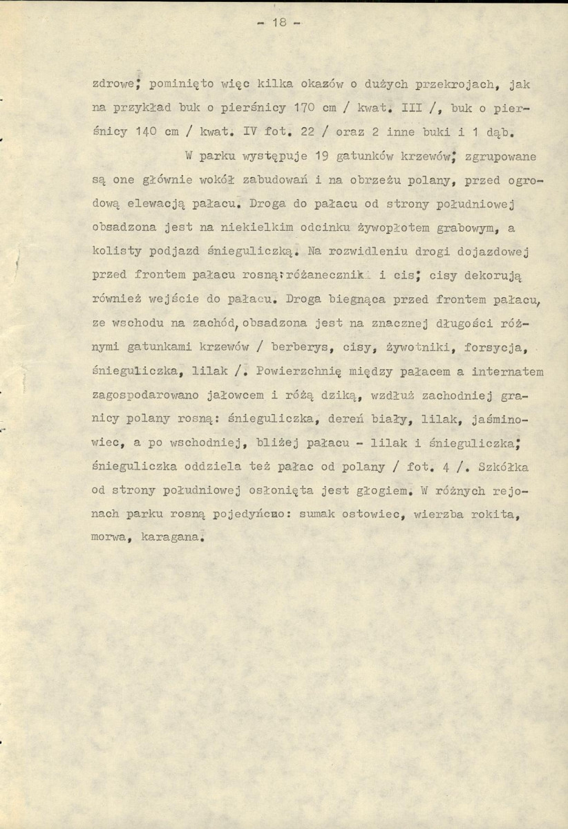Ewidencja parkowa, skan nr 23