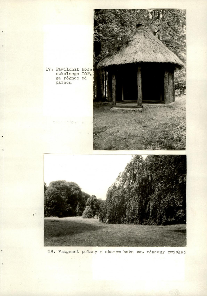 Ewidencja parkowa, skan nr 47