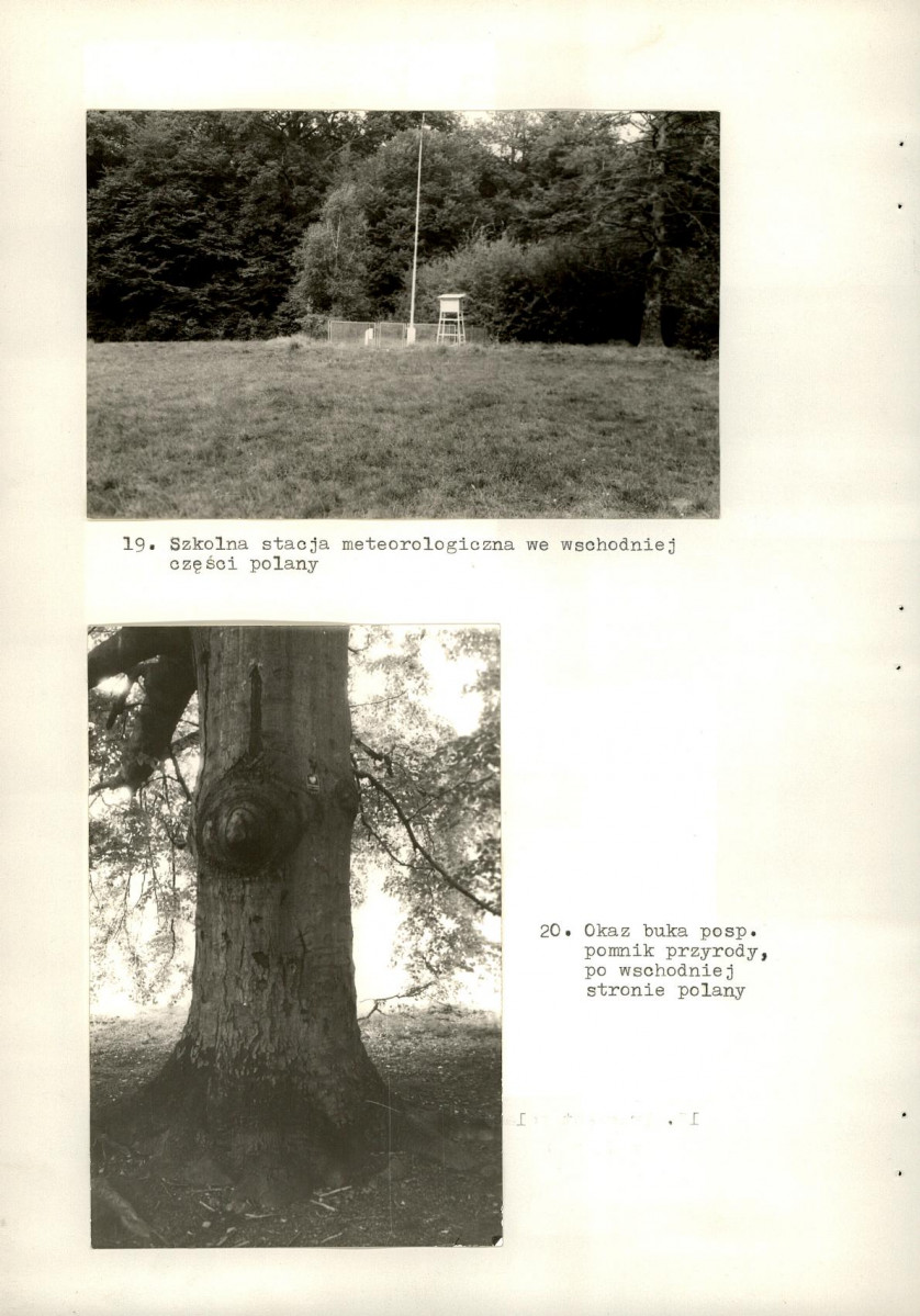 Ewidencja parkowa, skan nr 48