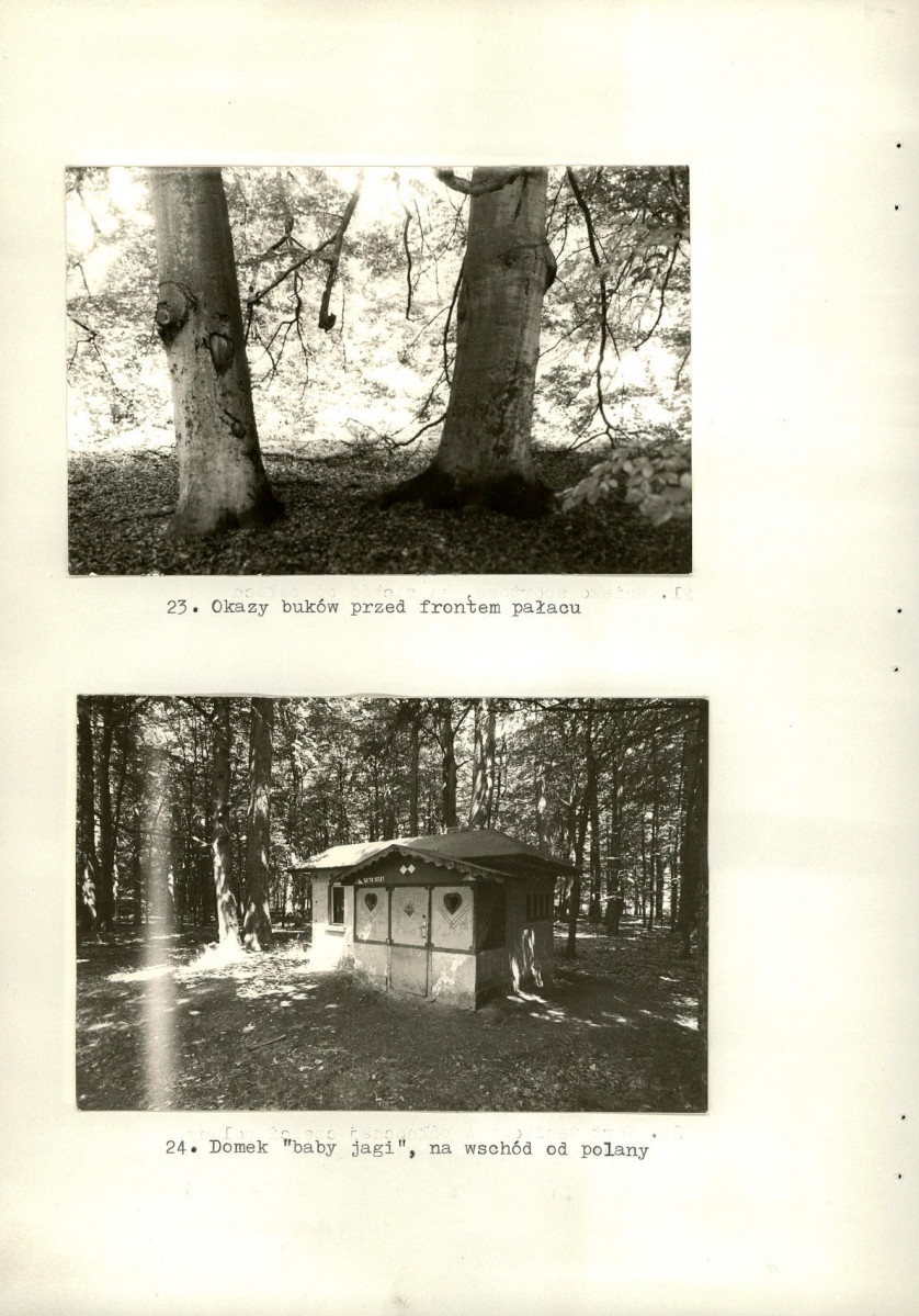 Ewidencja parkowa, skan nr 50