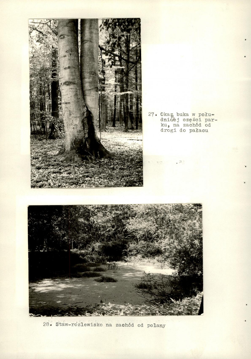 Ewidencja parkowa, skan nr 52