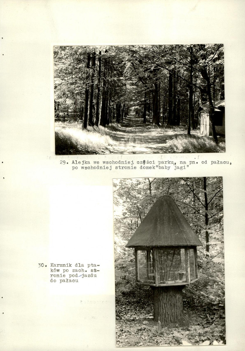 Ewidencja parkowa, skan nr 53