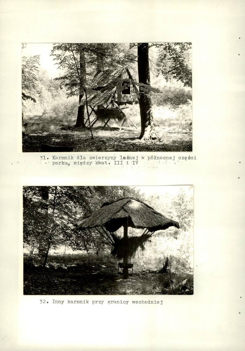 Ewidencja parkowa, skan nr 54