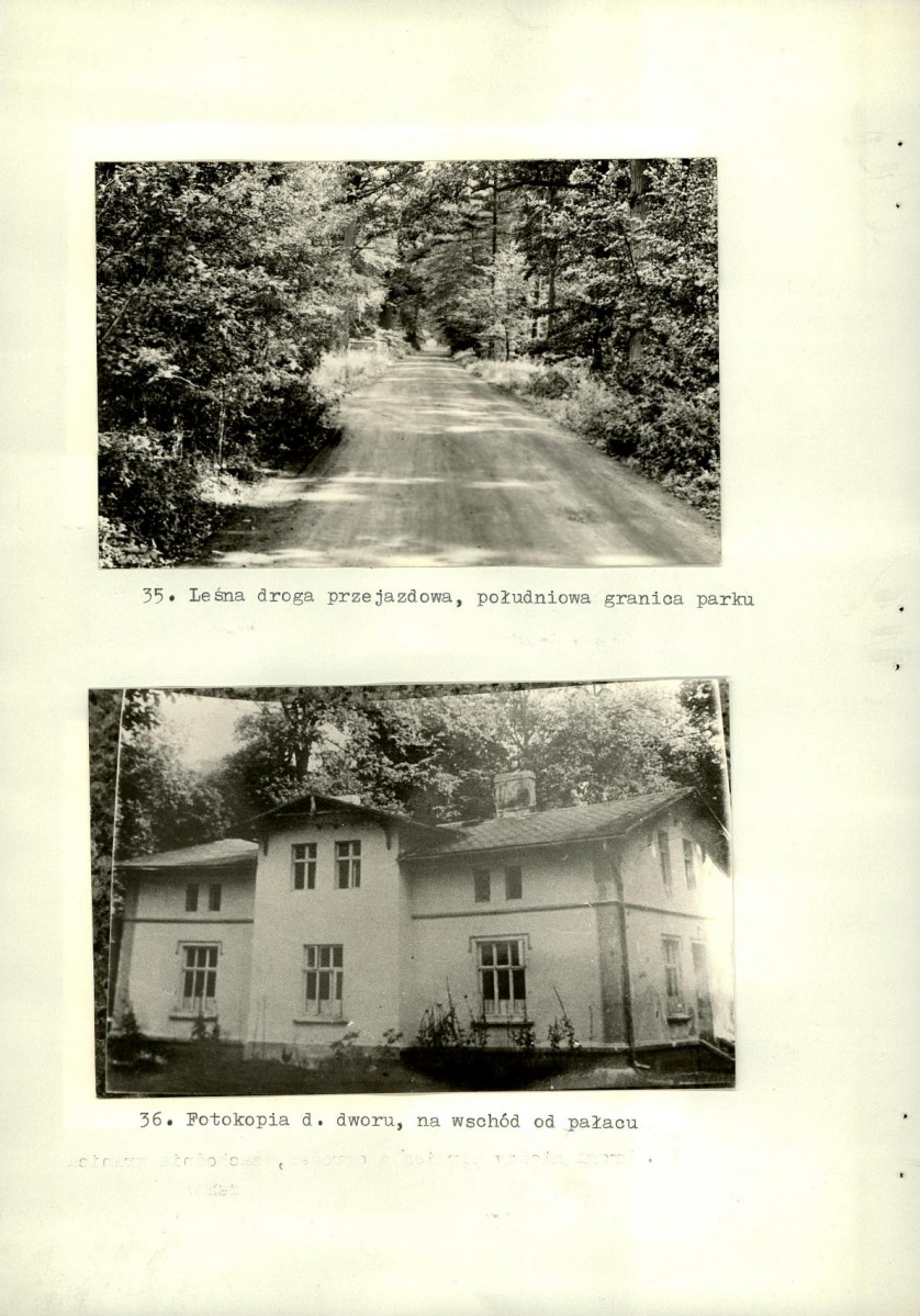 Ewidencja parkowa, skan nr 56