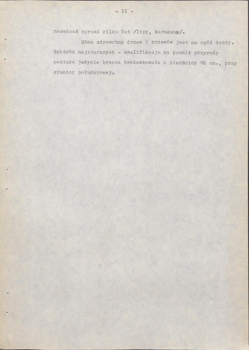 EP - Ewidencja parkowa, skan nr 19