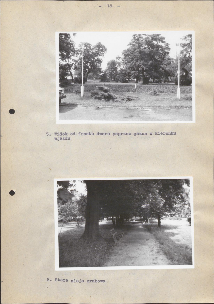 Ewidencja parkowa, skan nr 24