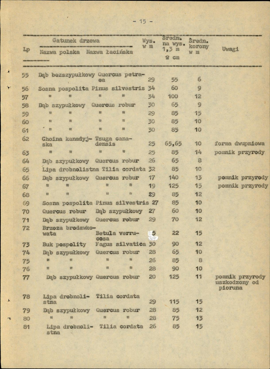 EP - Ewidencja parkowa, skan nr 21
