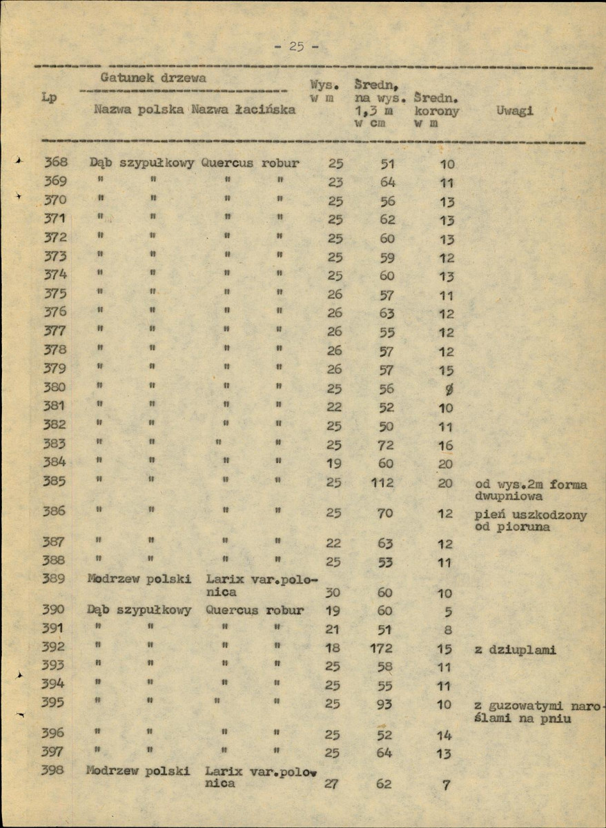 EP - Ewidencja parkowa, skan nr 31