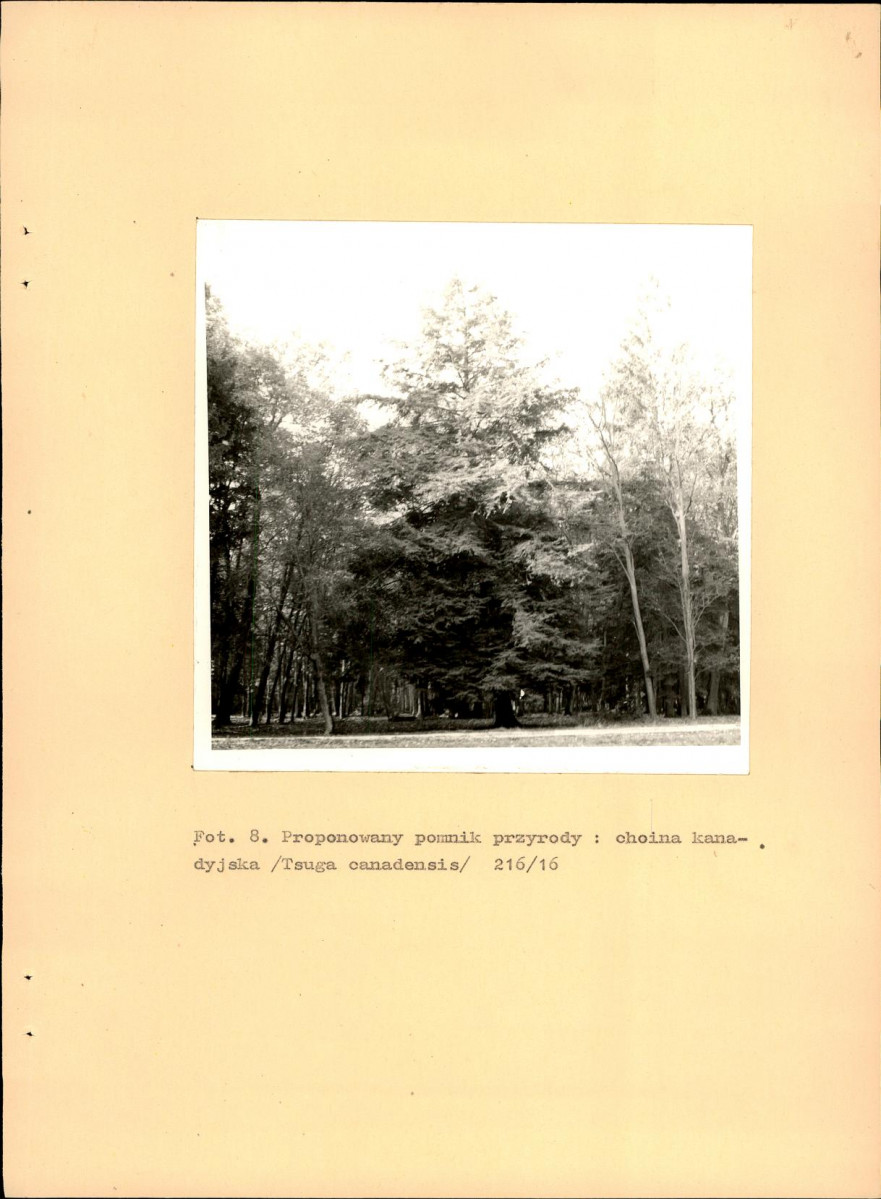 EP - Ewidencja parkowa, skan nr 47