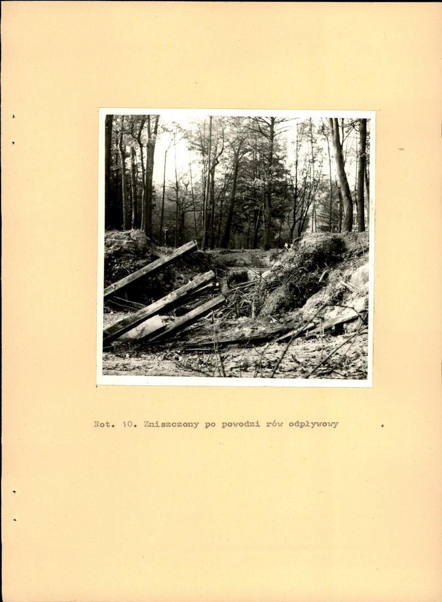 EP - Ewidencja parkowa, skan nr 49