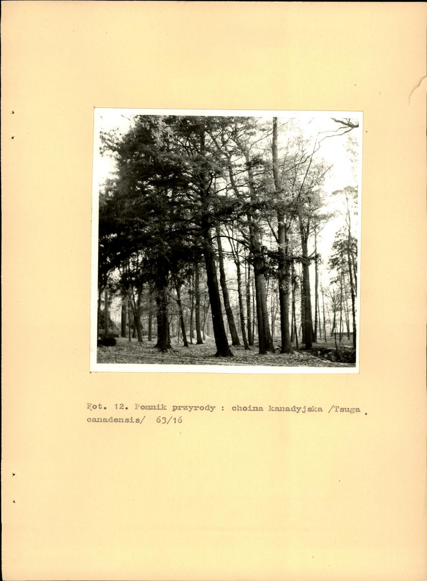 EP - Ewidencja parkowa, skan nr 51