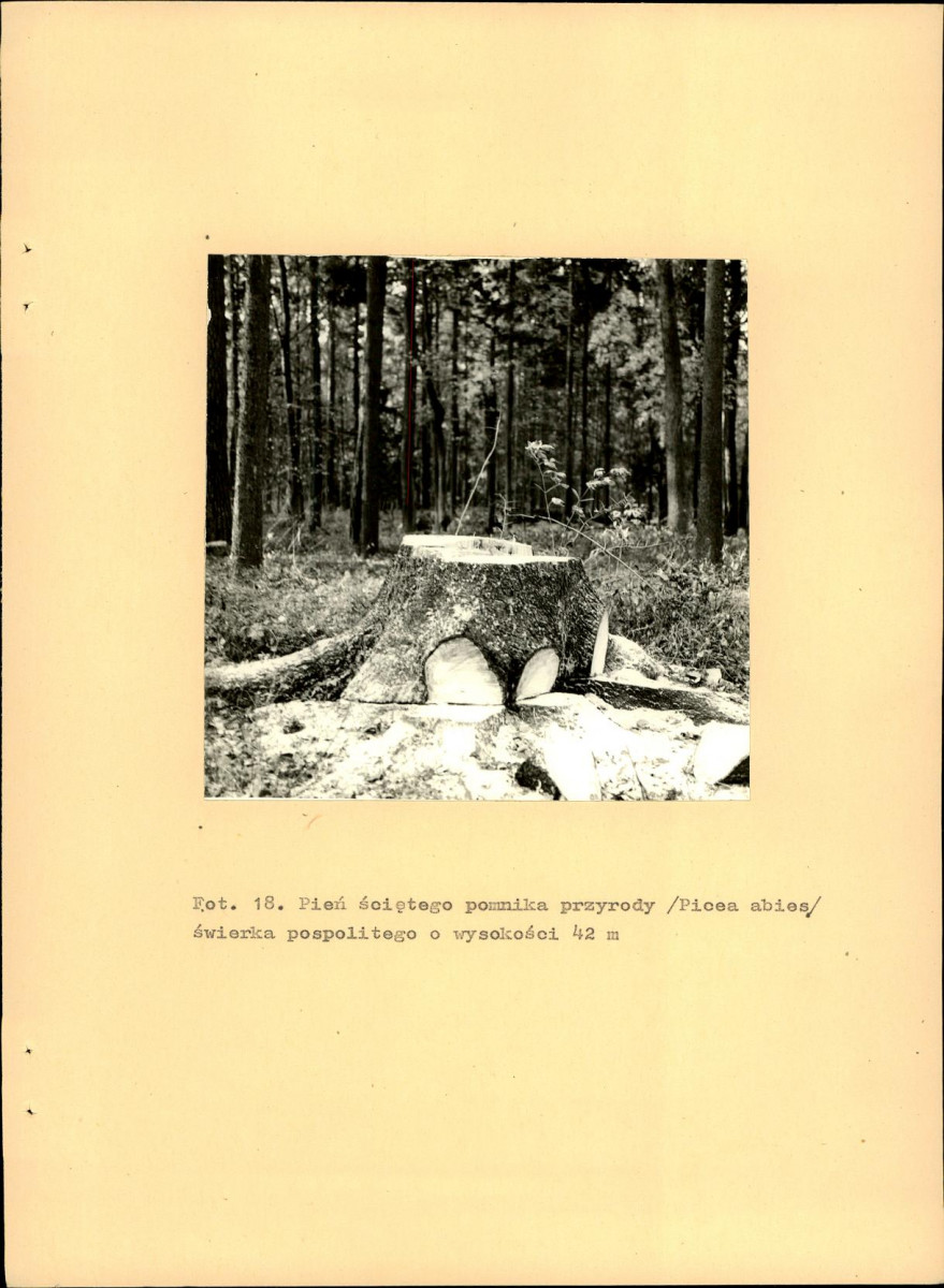 EP - Ewidencja parkowa, skan nr 57