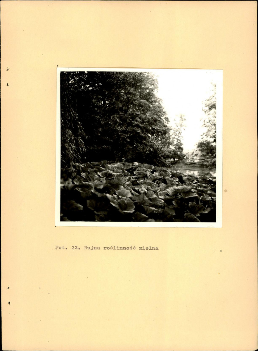 EP - Ewidencja parkowa, skan nr 61