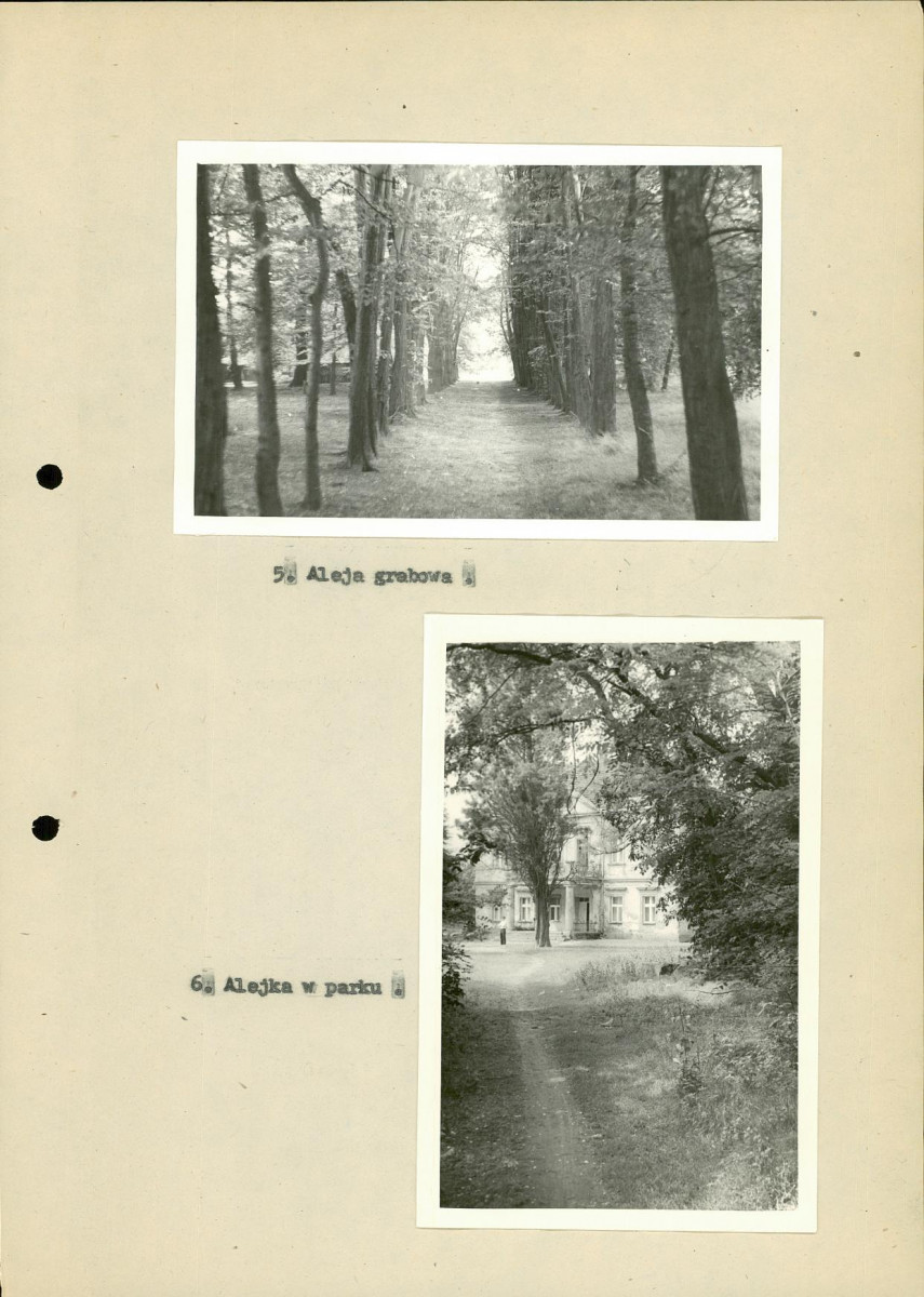 EP - Ewidencja parkowa, skan nr 24
