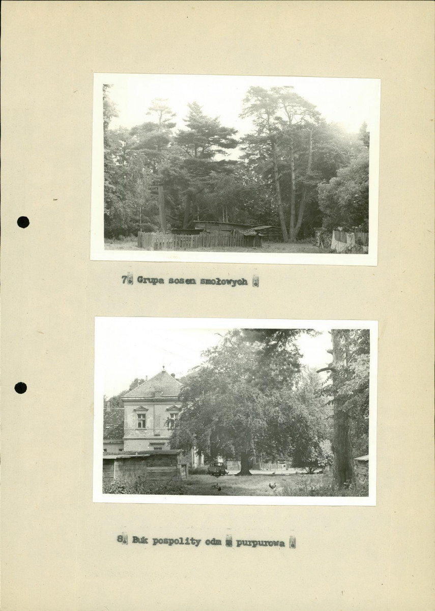 EP - Ewidencja parkowa, skan nr 25