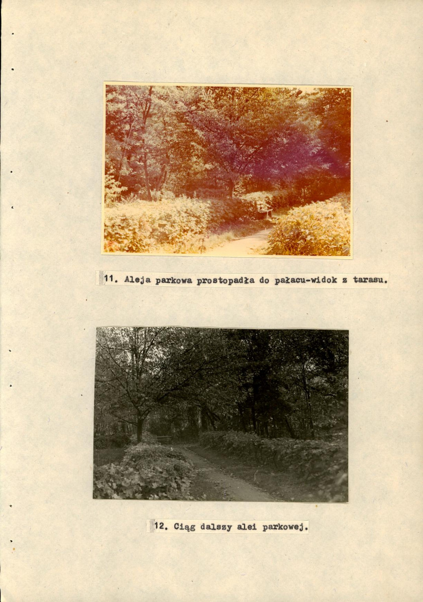 Ewidencja parkowa, skan nr 43