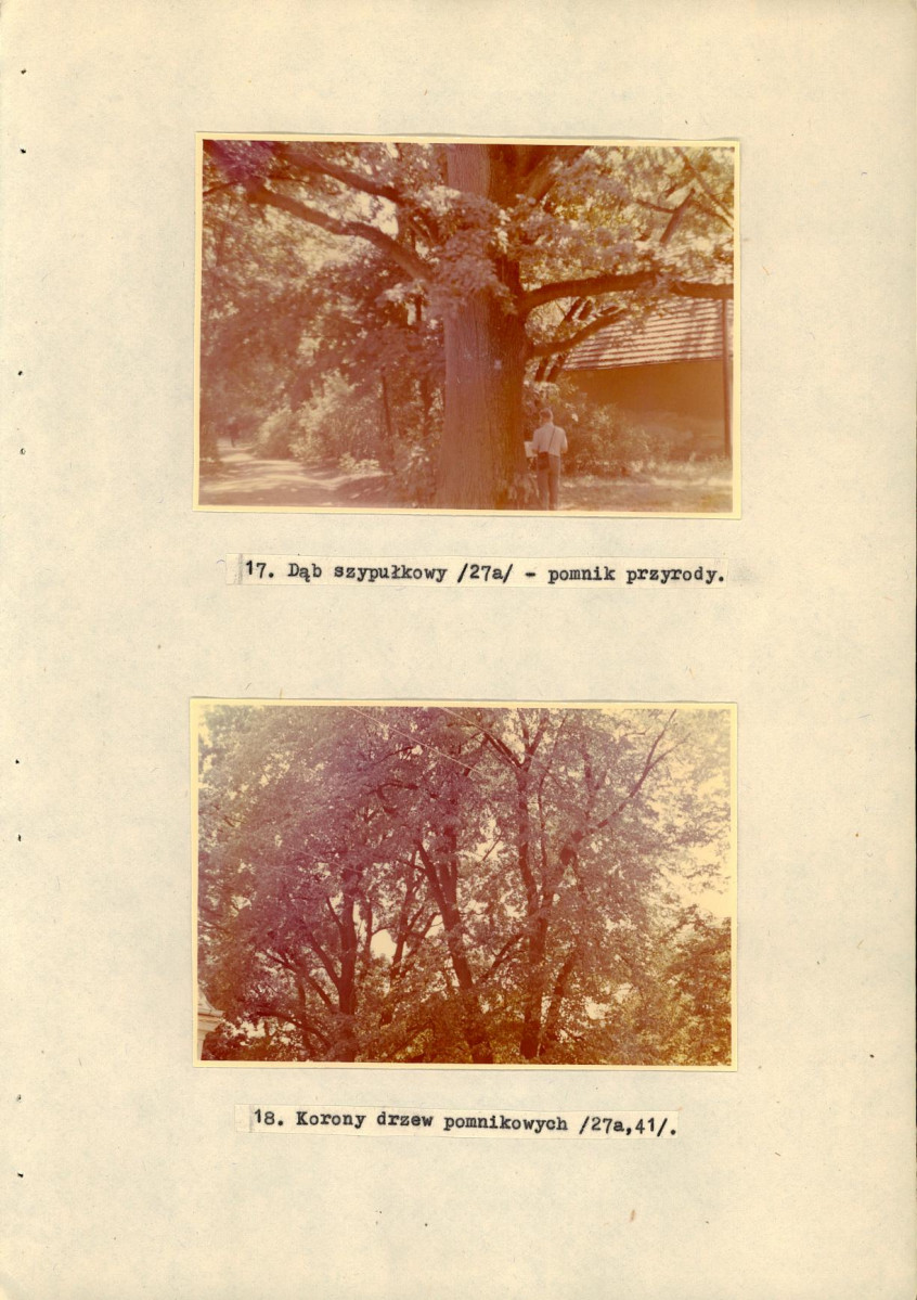 Ewidencja parkowa, skan nr 46