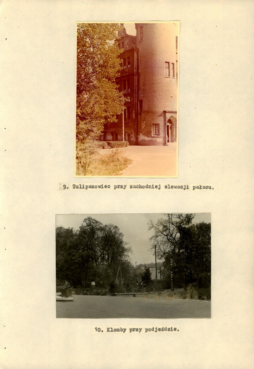 Ewidencja parkowa, skan nr 38