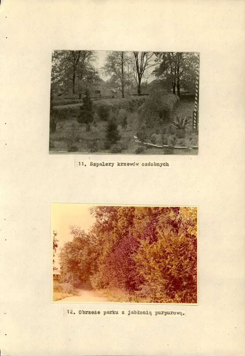 Ewidencja parkowa, skan nr 39