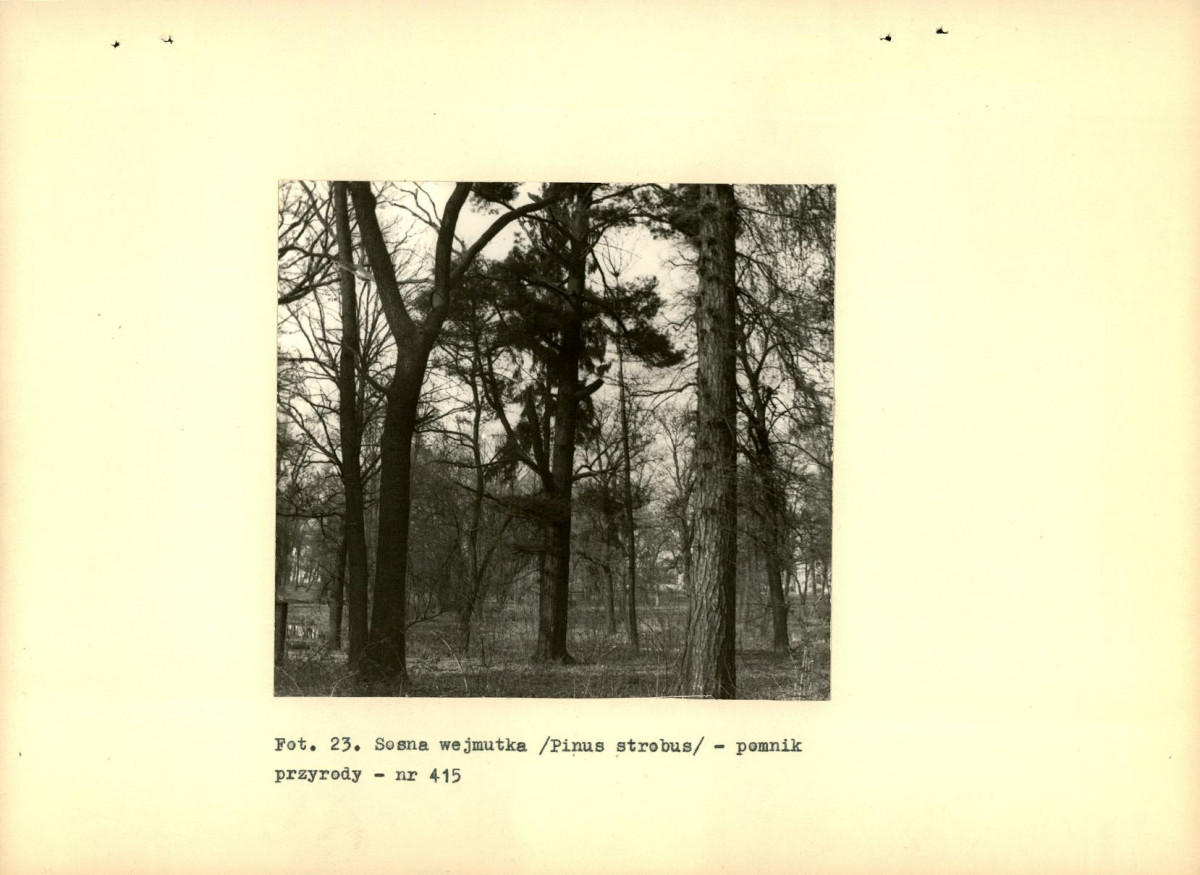EP - Ewidencja parkowa, skan nr 40