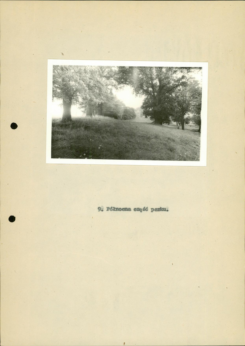 EP - Ewidencja parkowa, skan nr 22