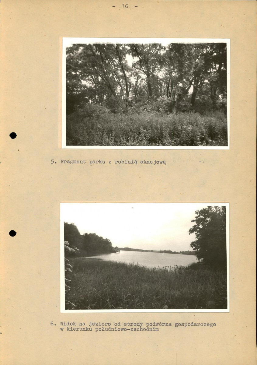 Ewidencja parkowa, skan nr 22