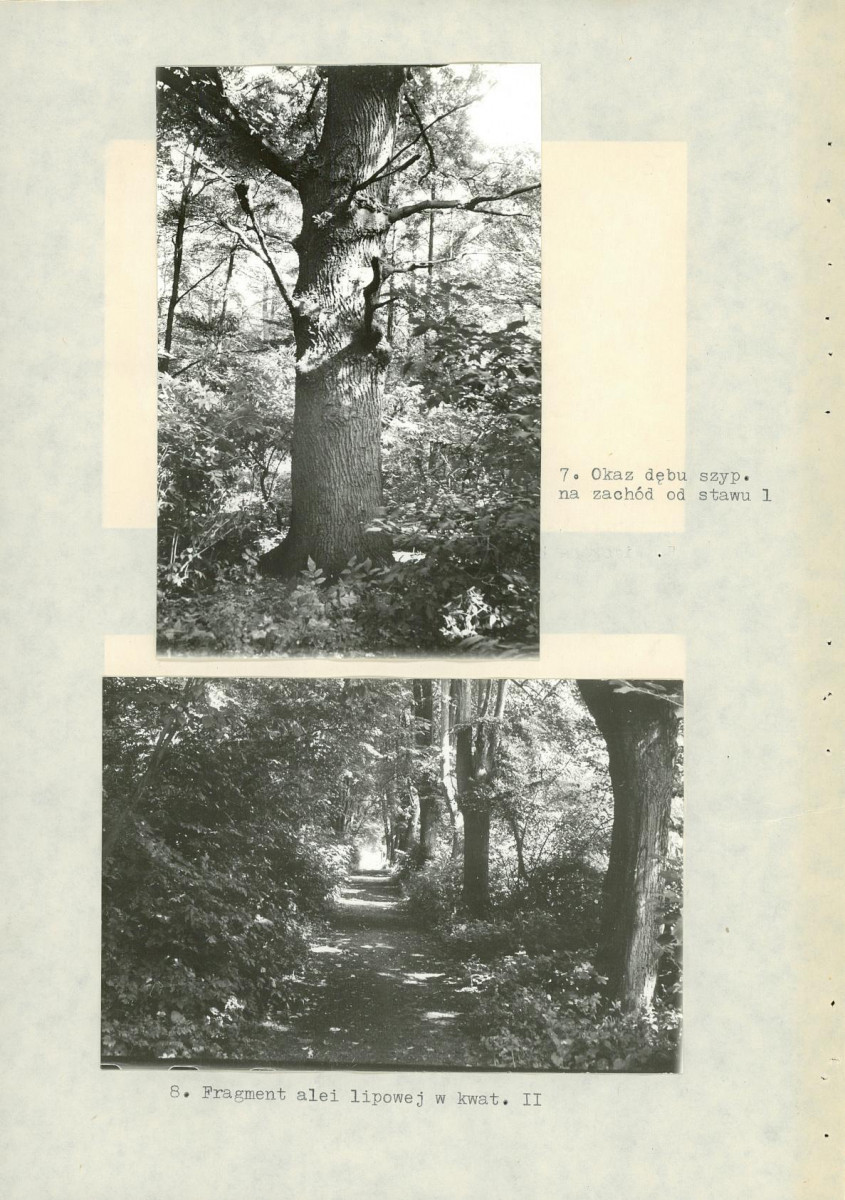 Ewidencja parkowa, skan nr 38