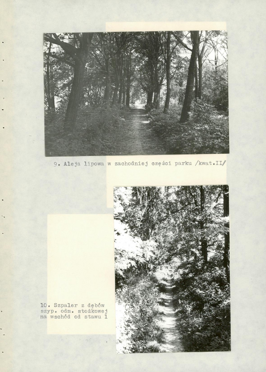 Ewidencja parkowa, skan nr 39