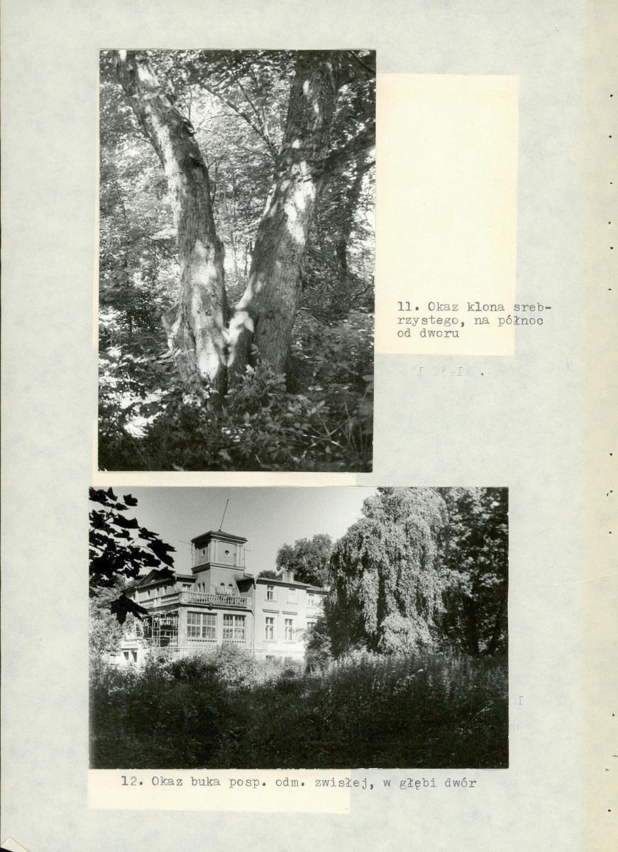 Ewidencja parkowa, skan nr 40