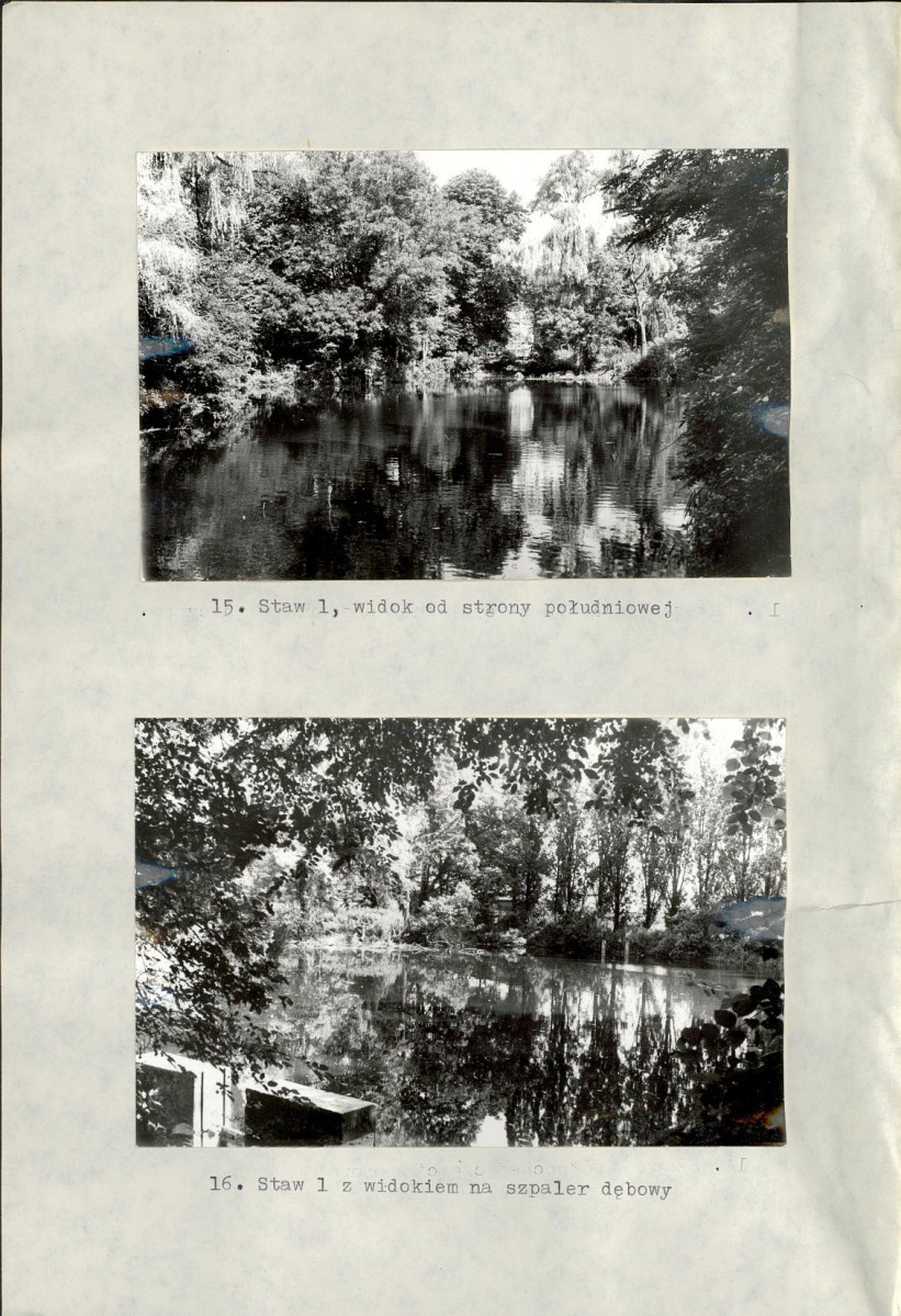 Ewidencja parkowa, skan nr 42