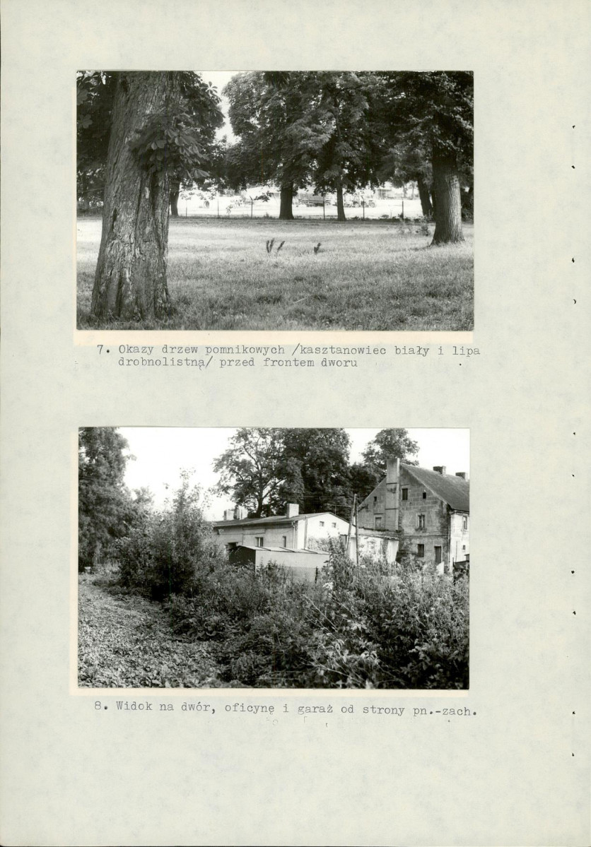 Ewidencja parkowa, skan nr 30