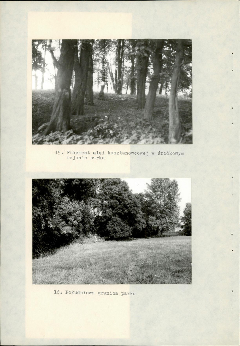 Ewidencja parkowa, skan nr 34