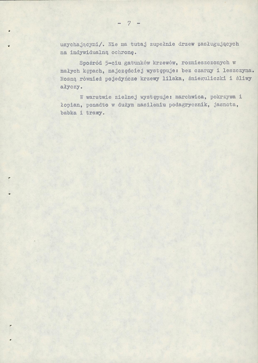 EP - Ewidencja parkowa, skan nr 13