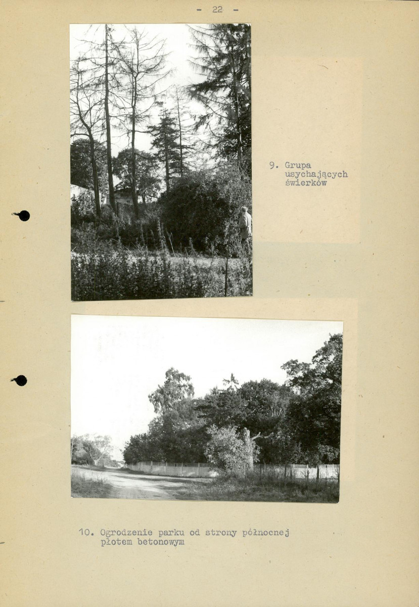 Ewidencja parkowa, skan nr 29