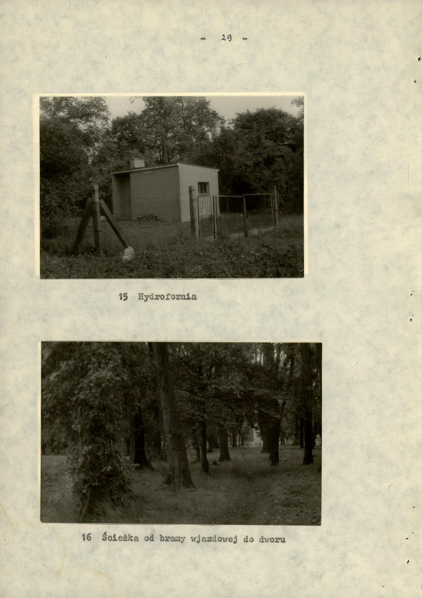 Ewidencja parkowa, skan nr 35