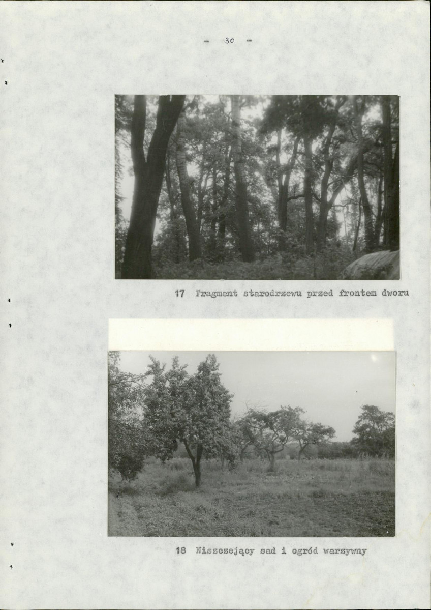Ewidencja parkowa, skan nr 36