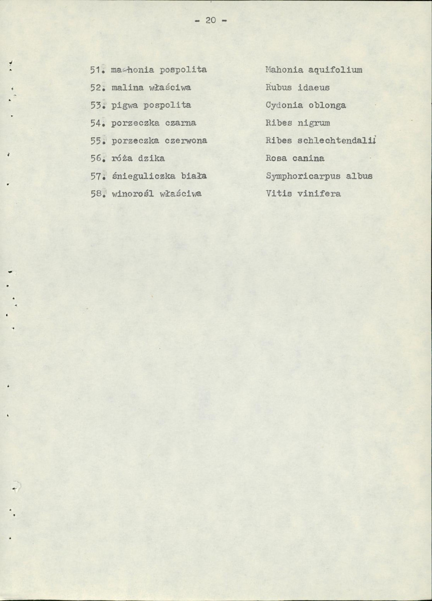 Ewidencja parkowa, skan nr 25