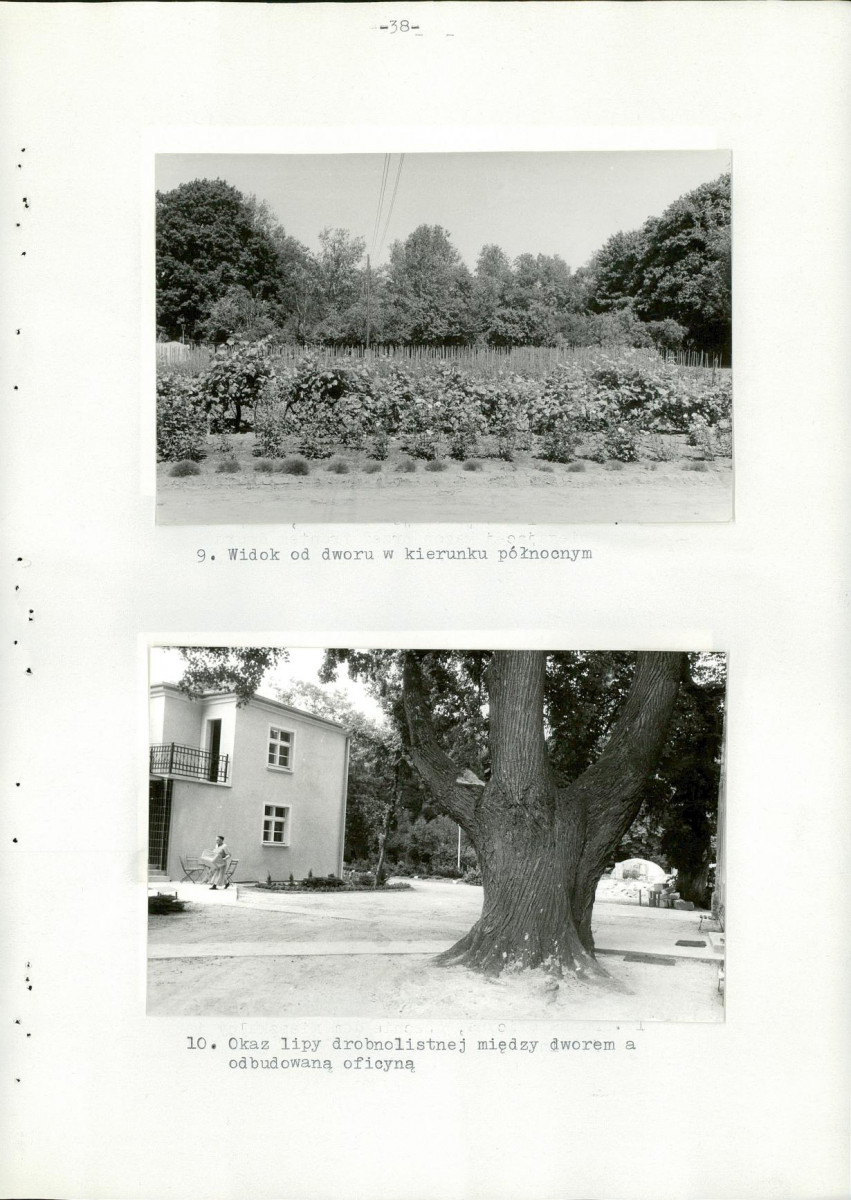 Ewidencja parkowa, skan nr 43