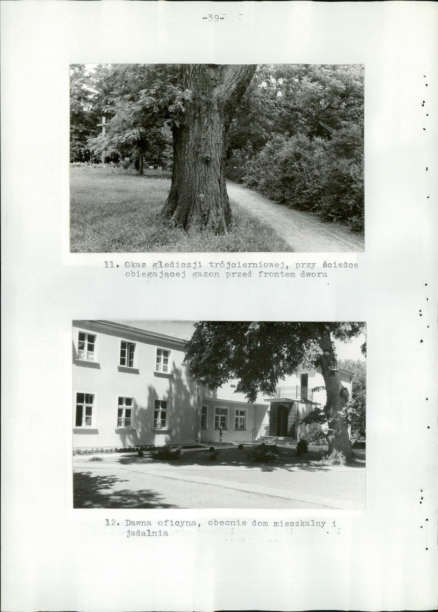 Ewidencja parkowa, skan nr 44