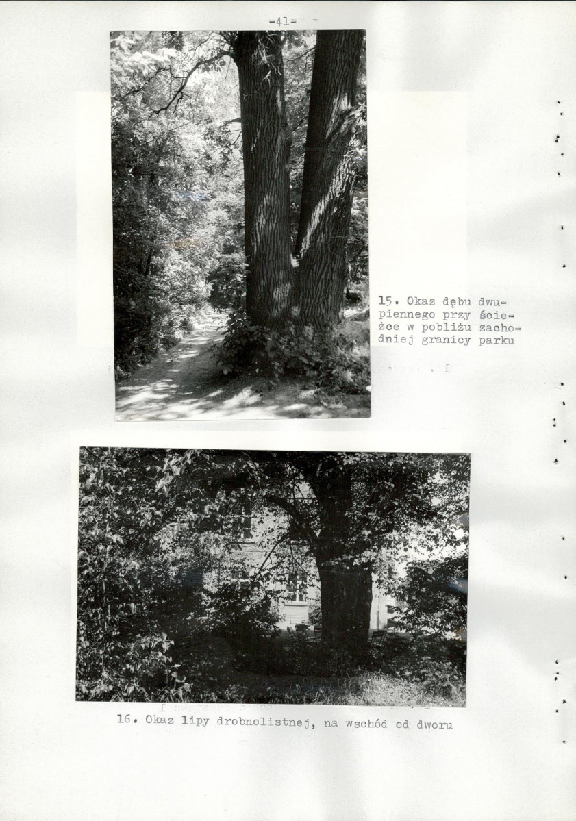 Ewidencja parkowa, skan nr 46