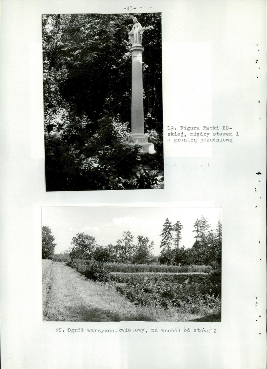Ewidencja parkowa, skan nr 48