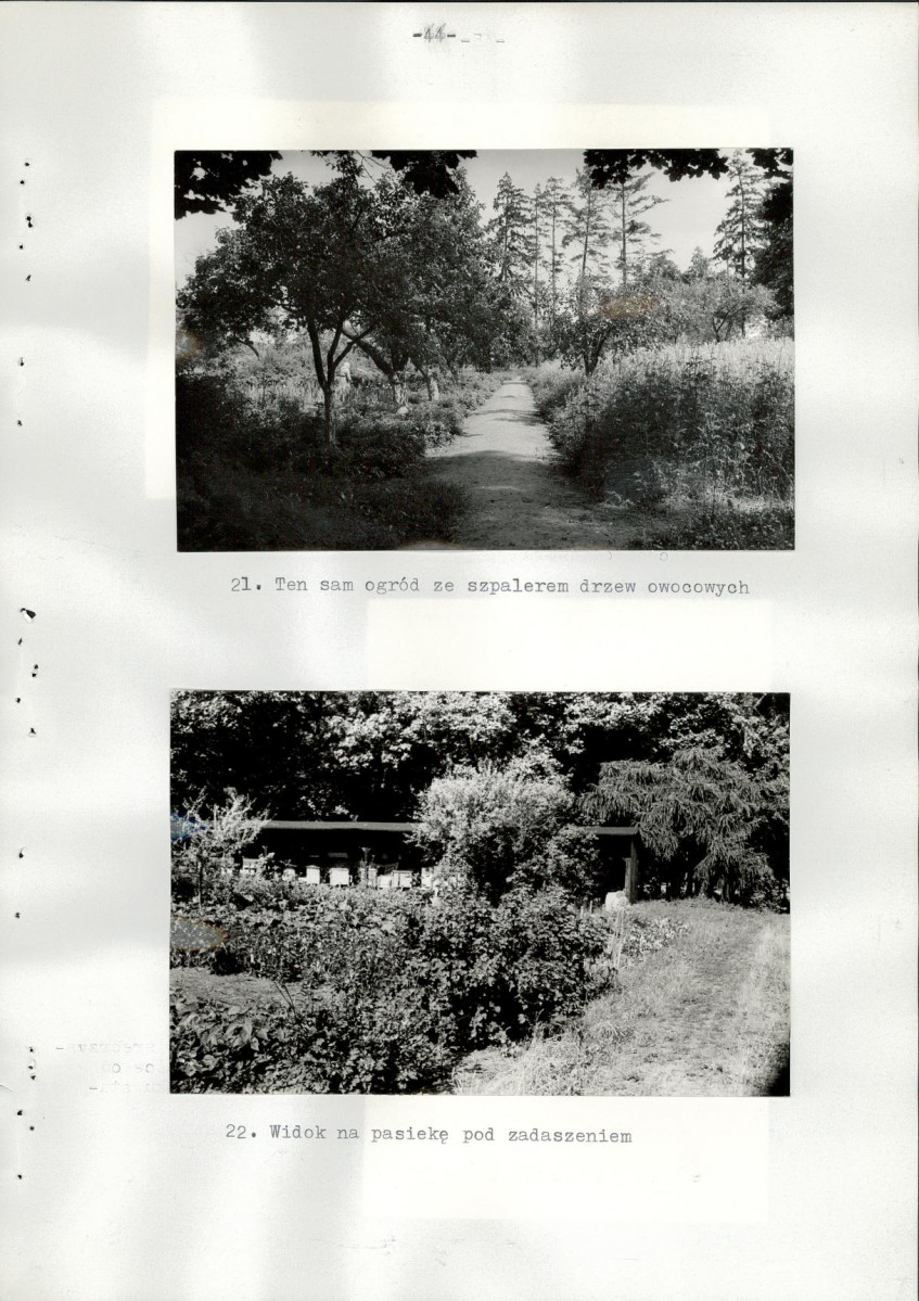 Ewidencja parkowa, skan nr 49