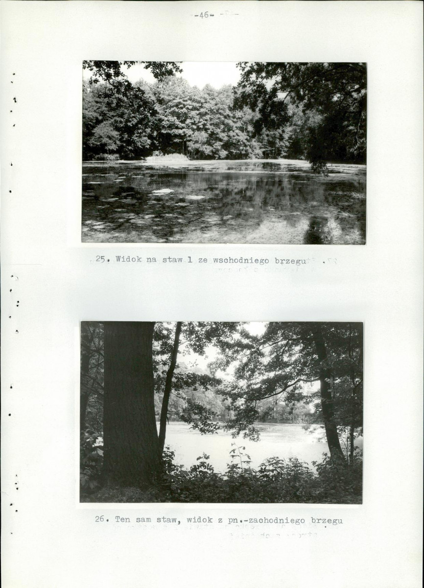 Ewidencja parkowa, skan nr 51