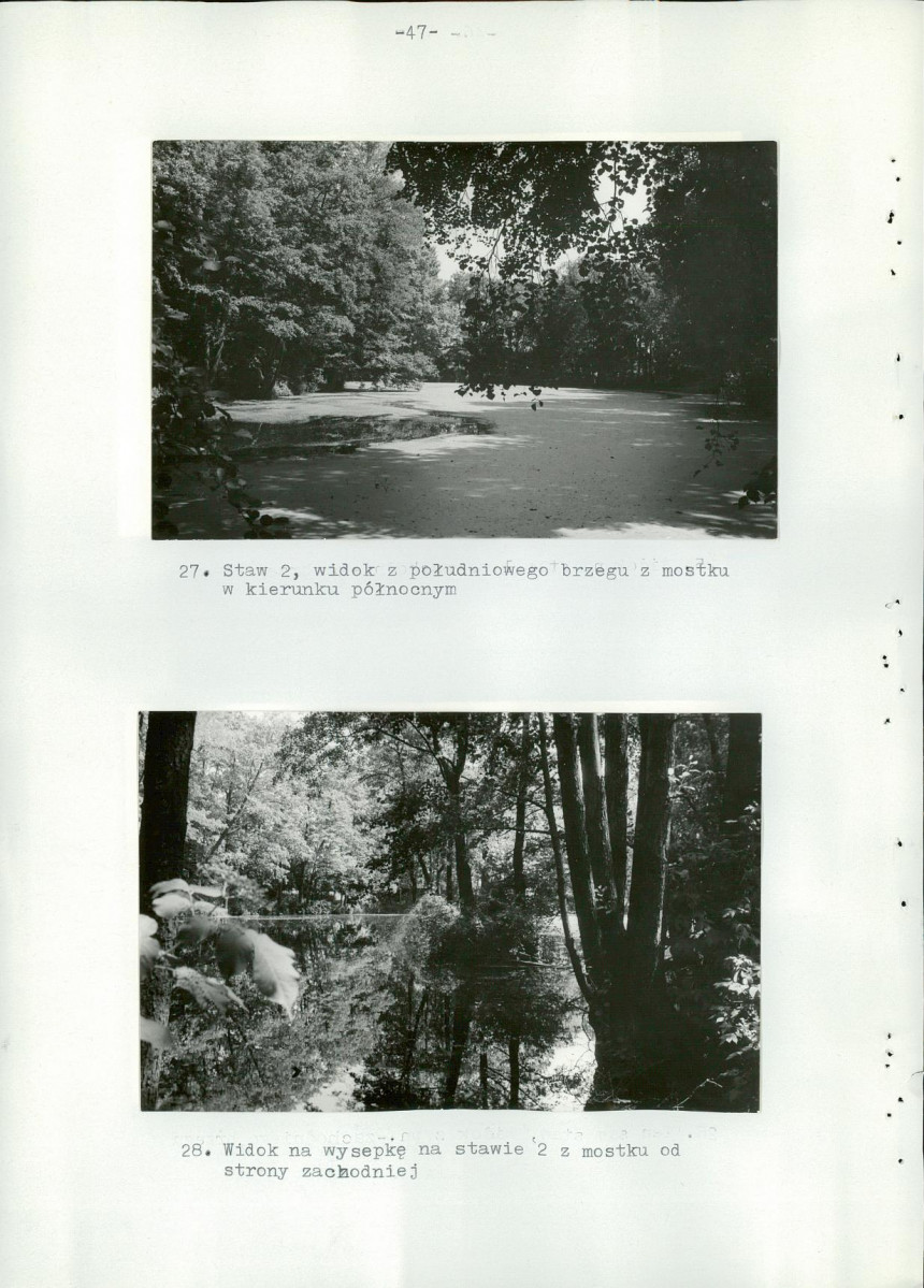 Ewidencja parkowa, skan nr 52