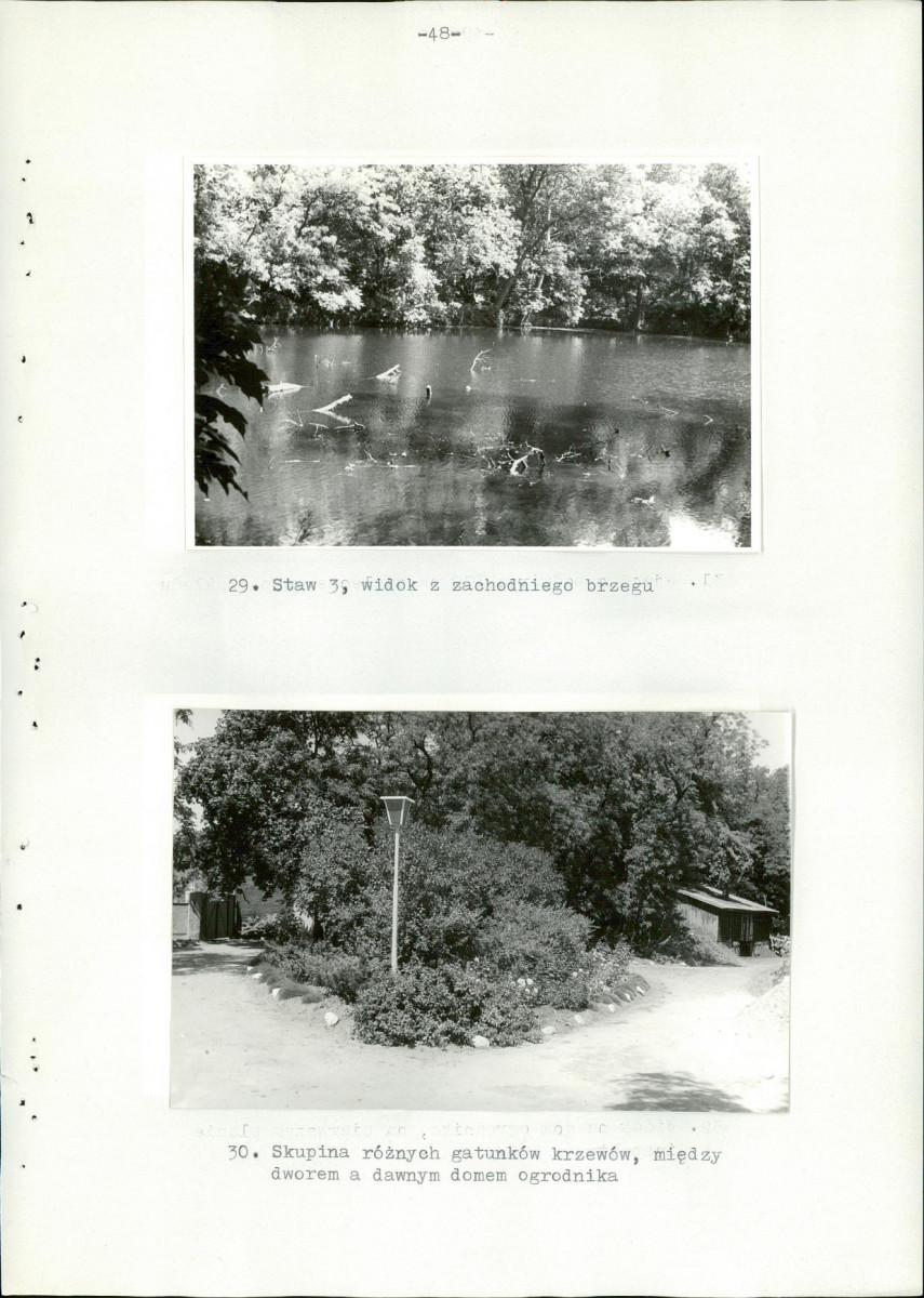 Ewidencja parkowa, skan nr 53