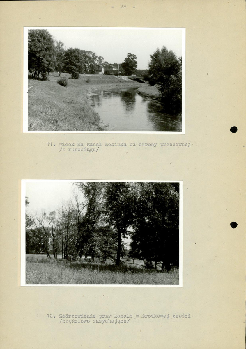 EP - Ewidencja parkowa, skan nr 35