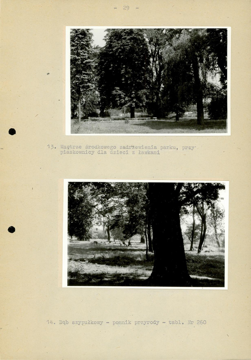 EP - Ewidencja parkowa, skan nr 36