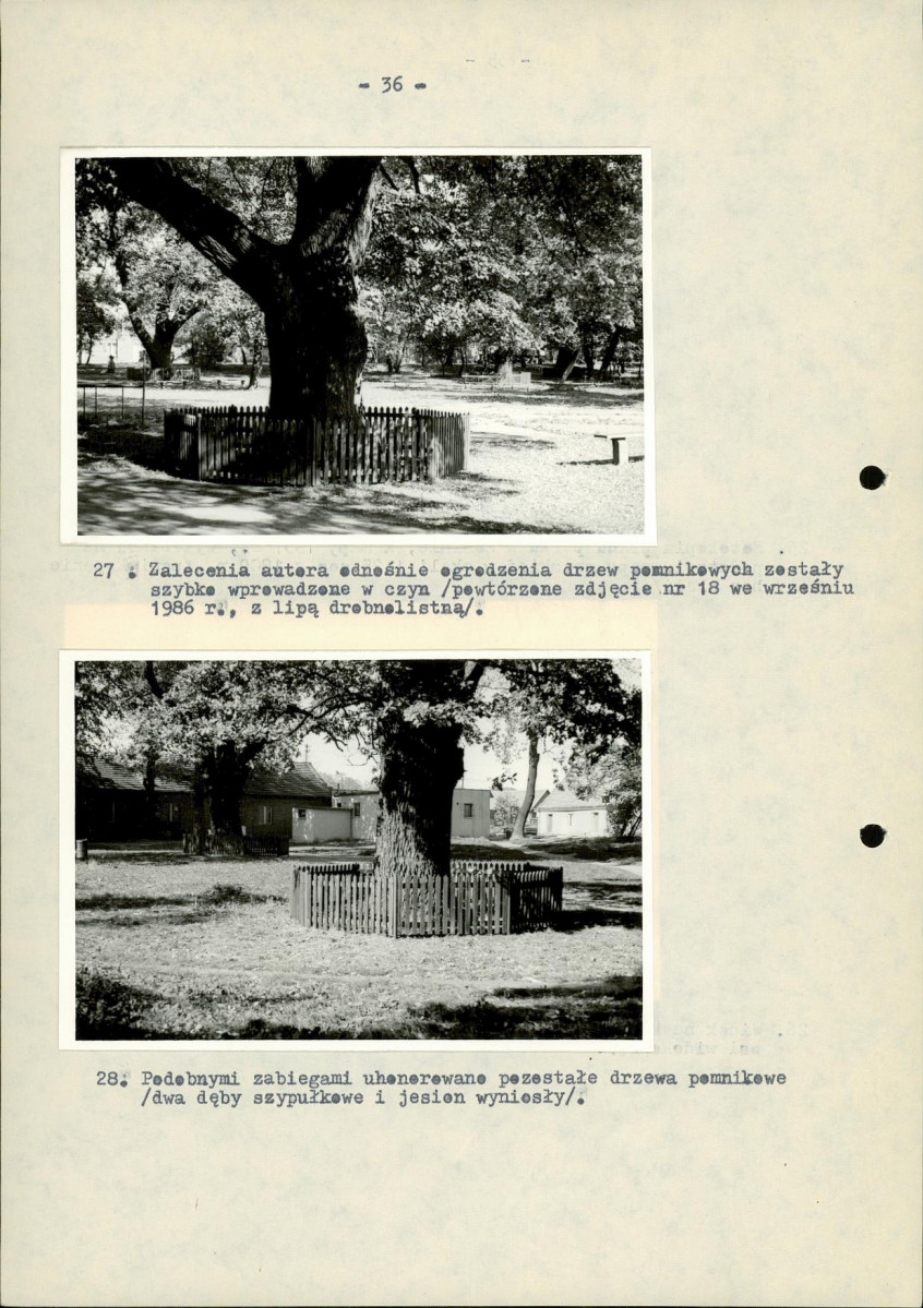 EP - Ewidencja parkowa, skan nr 43