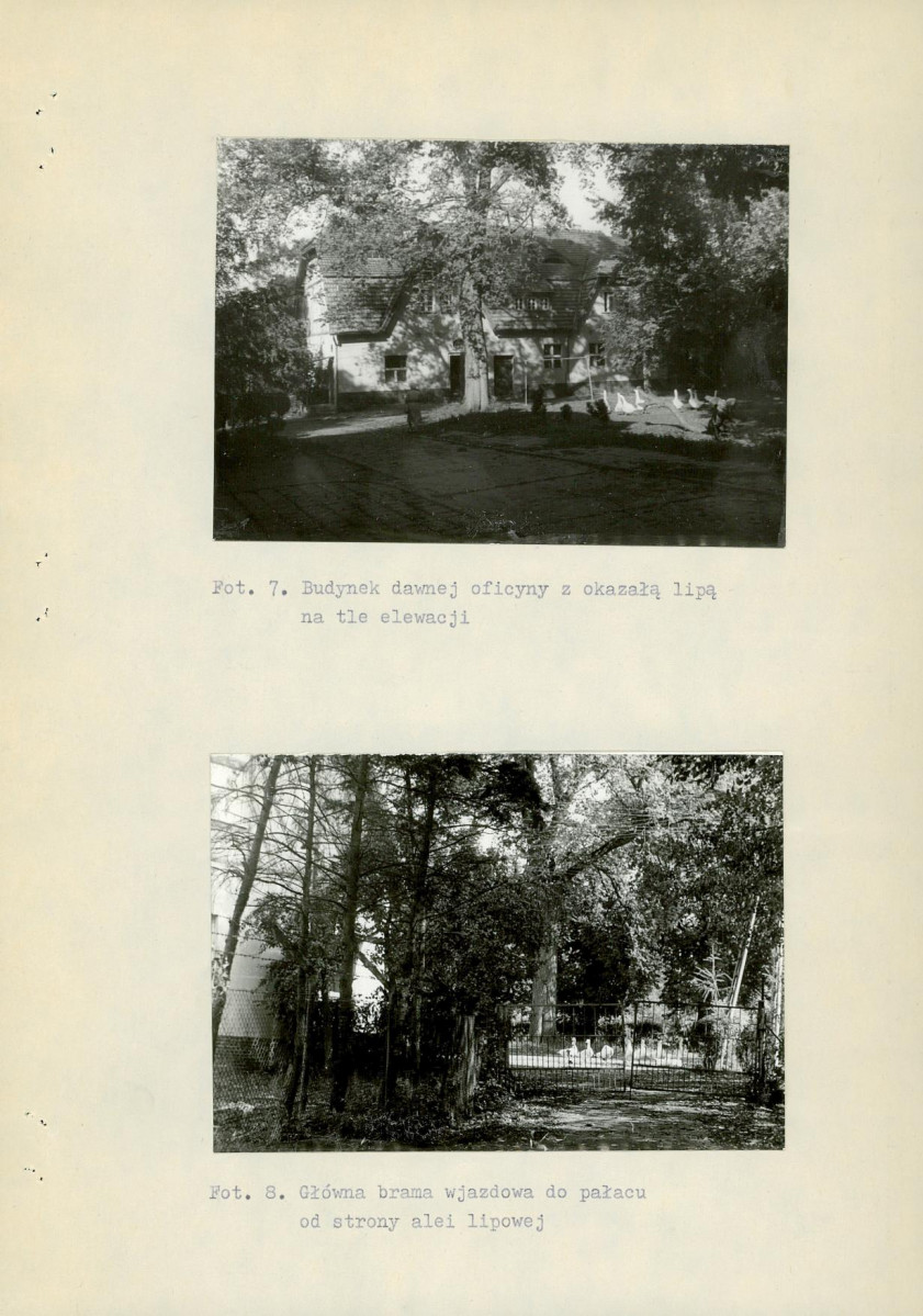 Ewidencja parkowa, skan nr 29