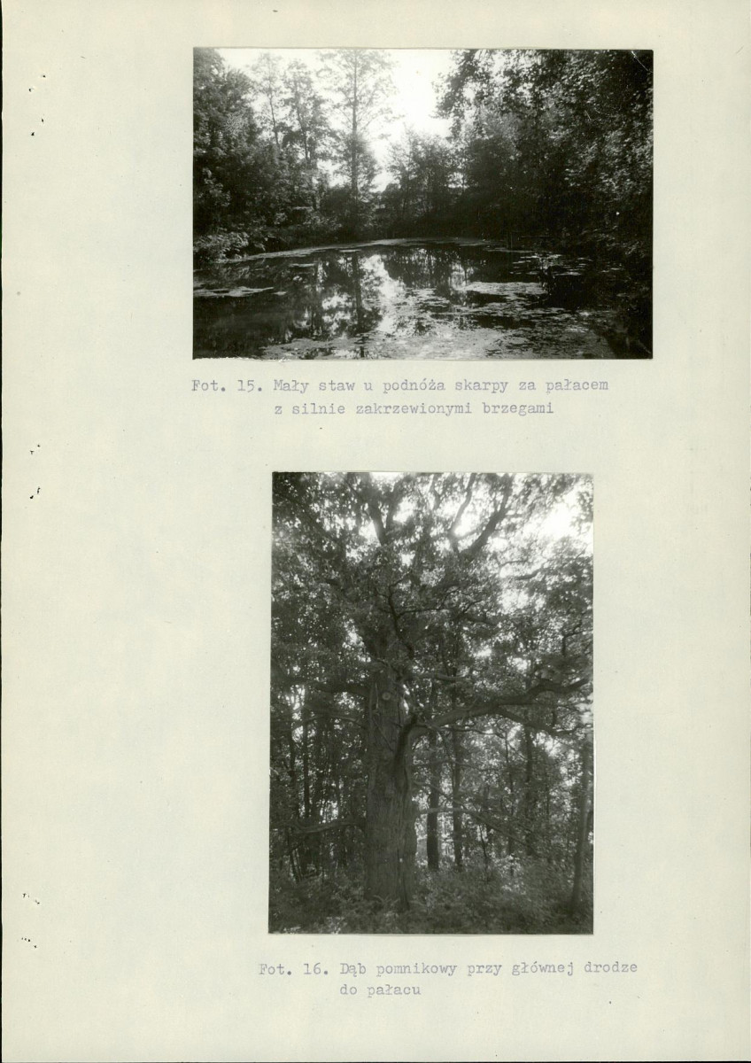 Ewidencja parkowa, skan nr 33